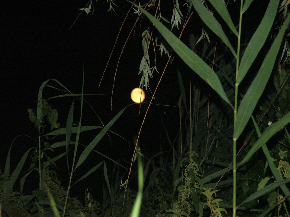 2012 - Lates cu prietenii - 531554_407503612650179_310699344_n.jpg